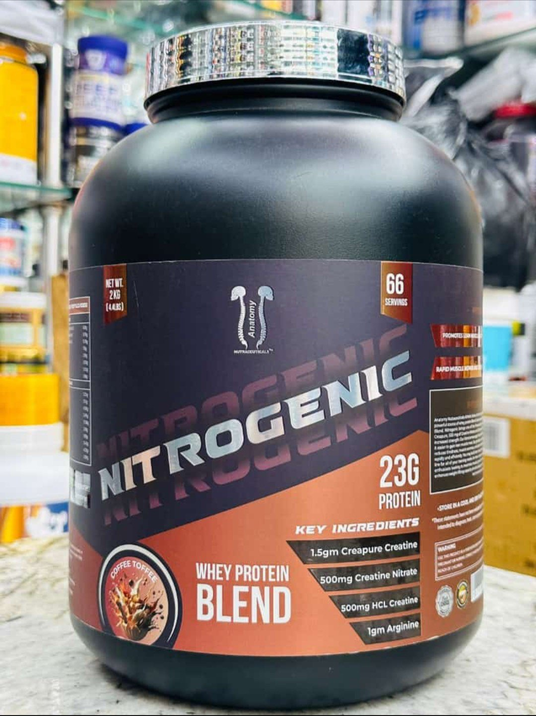 Anatomy Nitrogenic Whey Blend Protein (2kg)